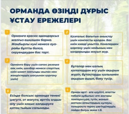 Ата-аналар мен балаларды ормандағы мінез-құлық ережелерімен танысуға